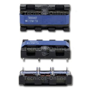 4259 INVERTER TMS092920 CT